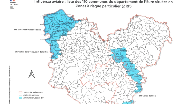 Influenza aviaire hautement pathogène
