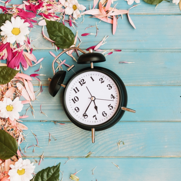 horloge-fleurs-petales